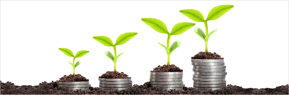 Seguros de ahorro vida Seguros de ahorro vida. Evolucion con grafico de plantes